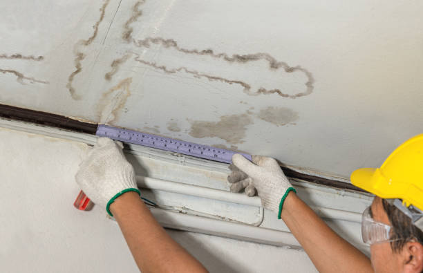 Reliable Mold Remediation contractor in Divide, CO by Water Damage Irwin